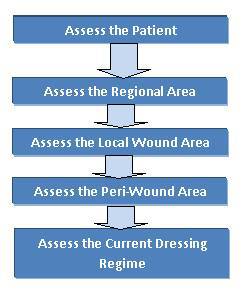 Wound Care Patient Assessment Pathway