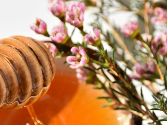 A bunch of Manuka flowers next to a bowl with honey dripping into it from a wooden dipper.