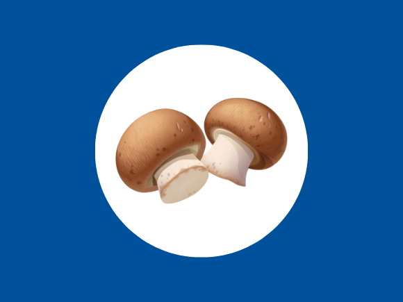 Mushroom icon