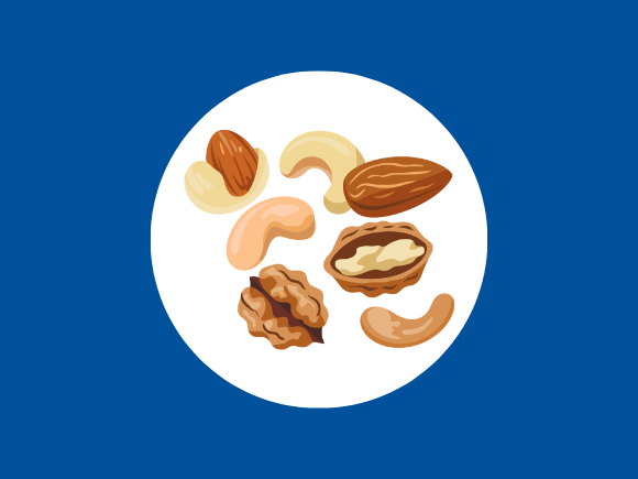 Seeds and nuts icon