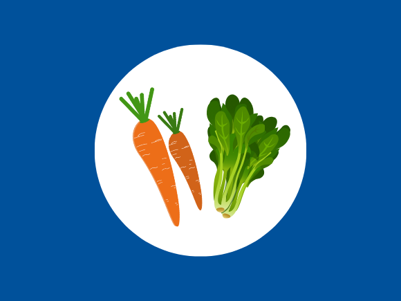 Raw vegetable icon