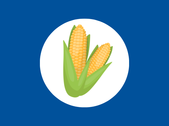 Sweetcorn icon